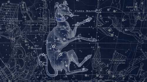 sketch of a greyhound type dog superimposed on an astronomical chart